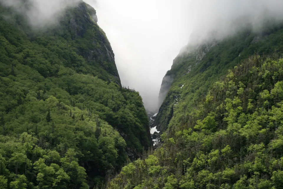 Lembah hijau yang tertutup kabut tebal